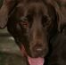 Diane Mccraw Tolbert - Facebook