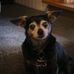 Diane Toombs - Facebook