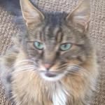 Diane Leventakos Toth - @leventakostoth - Instagram