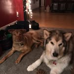 Diane Toth Mckay - @diane.mckay.397 - Instagram