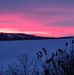 Dianne Toth - Facebook