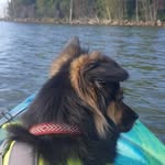 Diane Trainor - @dltrainor - Instagram