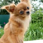 Diane Tremblay - @diane.tremblay.790693 - Instagram