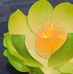Diane Than-Trong - Facebook