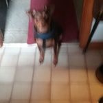Diane Trowbridge - @da.3872823 - Instagram