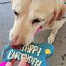 Tina Tustin - Facebook
