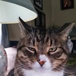 Diane Tuttle - @diane.s.tuttle5 - Instagram