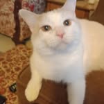 Diane Tuttle - @dianetuttle25 - Instagram