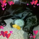 Diane Tuttoilmondo - @dianetuttoilmondo - Instagram