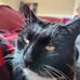 Diane Tutty - Facebook