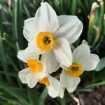 Dianne Tweedy - @diannetweedy - Instagram