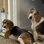 Diane Twigg - @dianetwigg - Instagram
