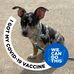 Diane Twigg Shaffer - Facebook