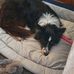 Diane Twist - Facebook