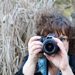 Diane Tyner - @pdtyner - Instagram
