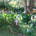 Dianne Tyner - Facebook