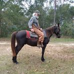Diane Tynes - Facebook
