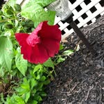 Diane Tyree Anglin - @dmta7 - Instagram