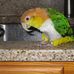 Diane Tyson - Facebook