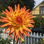 Diane Ullom - @diane.ullom.3 - Instagram