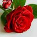 Islam Dunya - Facebook