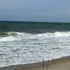 bettydianeulrich - @bettydianeulrich - TikTok