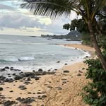 Diane Umphress - @umphressdiane - Instagram