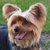 Diane Unger - Facebook