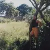 dianeuresti1974 - @devanirpad - TikTok
