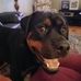 Diane Reece Usher - Facebook