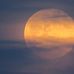 Diane Utley - Facebook