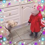 Diane Vale - @dv55866 - Instagram