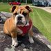 Diane Vallée - Facebook