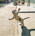 Deana Vandermark - Facebook