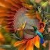 Diane Vandervort - Facebook
