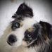 Diane Vandervort - Facebook