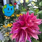 Dianne Vanderwal - Facebook