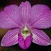 Diane Van Horn - Facebook