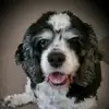 Diane Van Horn - @diane.van.horn - TikTok