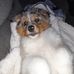 Diane VanLuven - Facebook