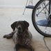 Diane Del Vecchio - Facebook