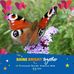 Diane Veitch - Facebook