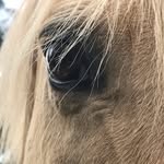 Dee Dee - @dianeviney007 - Instagram