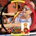 Diane Vos - Facebook