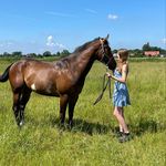 diane - @vos_diane - Instagram