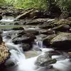 dianevoss4 - @diane.voss4 - TikTok