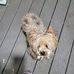 Diane Waldron - Facebook