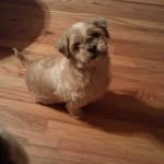 Diane Yopp Waldron - @waldron.diane - Instagram