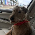 Emily Diane Stasny Waldron - @waldron3129 - Instagram
