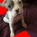 Diane Warden - @diane.warden83 - Instagram
